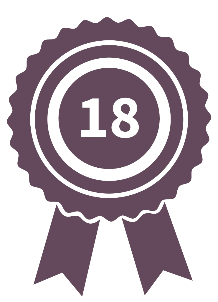 Odoo 18 Certified Transines Solutions